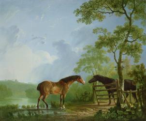 Mare and Stallion in a Landscape (oil on canvas) | Obraz na stenu