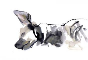 Sleeping Hyaena, 2010, (watercolour on paper) | Obraz na stenu