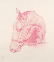 Portrait Head, 2010 (red chalk on paper) | Obraz na stenu