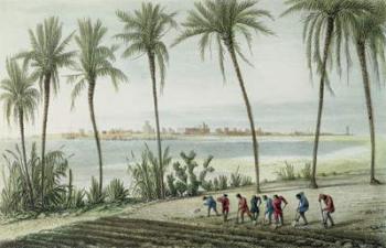 General View of Cadiz, engraved by John Pye (1782-1874) (coloured engraving) | Obraz na stenu