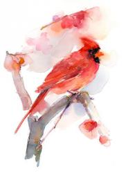 Red cardinal, 2016, (watercolor) | Obraz na stenu