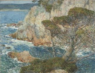 Point Lobos, Carmel, 1914 (oil on canvas) | Obraz na stenu