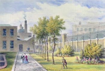 Garden of St. Thomas's Hospital, Southwark, London (w/c on paper) | Obraz na stenu