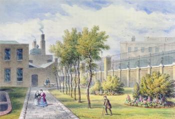 Garden of St. Thomas's Hospital, Southwark, London (w/c on paper) | Obraz na stenu