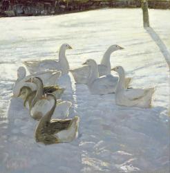Geese Against the Light (oil on canvas) | Obraz na stenu