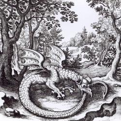 A Dragon in the Forest, from 'Musaeum Hermeticum Reformatum' by Basil Valentine, 1678 (engraving) (b/w photo) | Obraz na stenu