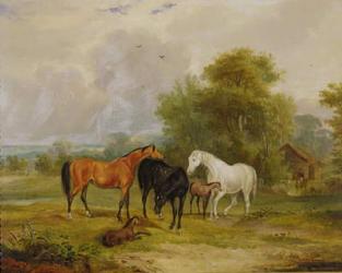 Horses Grazing: Mares and Foals in a Field (oil on canvas) | Obraz na stenu