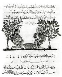 Making Lead, page from an Arabic edition of the treaty of Dioscorides, 'De Materia Medica', 1222 (gouache on paper) (b/w photo) | Obraz na stenu