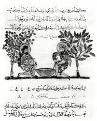 Making Lead, page from an Arabic edition of the treaty of Dioscorides, 'De Materia Medica', 1222 (gouache on paper) (b/w photo) | Obraz na stenu