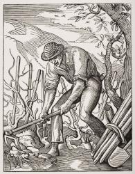 The wine grower, after an engraving by Jost Amman (1539-91) from 'Le Moyen Age et La Renaissance' by Paul Lacroix (1806-84) published 1847 (litho) | Obraz na stenu