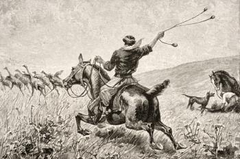 Throwing the Bolas, from 'Journal of Researches' by Charles Darwin (1809-92) published by Nelson & Sons, 1890 (engraving) | Obraz na stenu