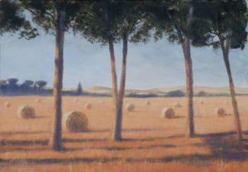 Hay Bales and Pines, Pienza, 2012 (acrylic on canvas) | Obraz na stenu