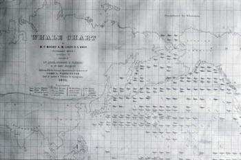 Whale Chart of the North Pacific, 1851 (litho) | Obraz na stenu