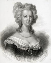Portrait of Marie-Antoinette (1755-93) (engraving) | Obraz na stenu