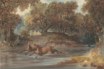 Landscape with Deer, North Carolina, c.1820 (w/c & gouache over graphite on paper) | Obraz na stenu
