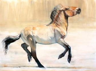 Equus (Przewalski), 2014, (pastel and charcoal on paper) | Obraz na stenu