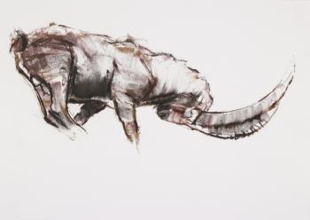 Challenge (charcoal & conte on paper) | Obraz na stenu