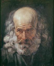 Head of a Philosopher, c.1810 (oil on canvas) | Obraz na stenu