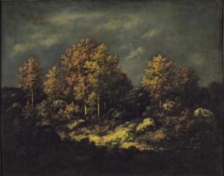 The Jean de Paris Heights in the Forest of Fontainebleau, 1867 (oil on canvas) | Obraz na stenu