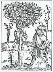 Of to moche spekynge or bablynge, illustration from Alexander Barclay's English translation of 'The Ship of Fools', from an edition published in 1874 (engraving) | Obraz na stenu