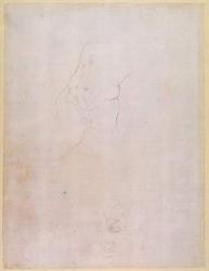 Study of a male torso (pencil on paper) (verso) (for recto see 192512) | Obraz na stenu