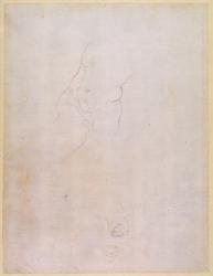 Study of a male torso (pencil on paper) (verso) (for recto see 192512) | Obraz na stenu