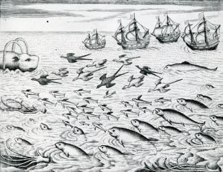 Seascape, Illustration from 'India Orientalis', 1598 (engraving) | Obraz na stenu