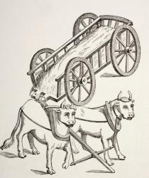 15th century cart drawn by oxen, from 'Les Arts au Moyen Age', published 1873 (litho) | Obraz na stenu