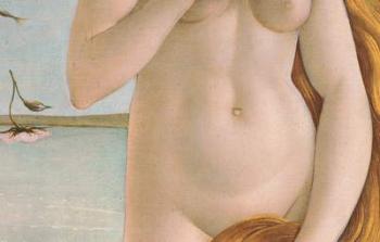 Birth of Venus, detail of Venus's torso, 1484 (tempera on canvas) (detail) | Obraz na stenu