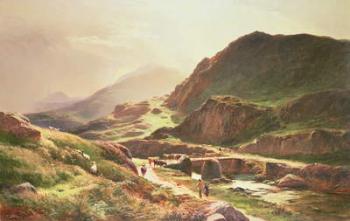 Highland Scene | Obraz na stenu