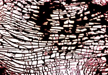 Study for NA_4 [Wave], 2002, colour photograph | Obraz na stenu