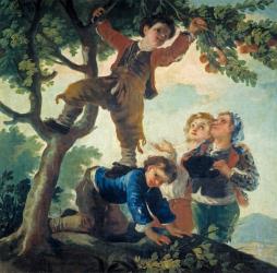 Boys Picking Fruit, 1779-80 (oil on canvas) | Obraz na stenu