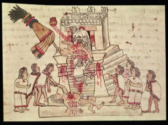 B.R. 232 fol.70r A human sacrifice from the Codex Magliabechiano (vellum) | Obraz na stenu