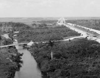 Drainage canal and Everglades, Miami, Florida, c.1910-20 (b/w photo) | Obraz na stenu