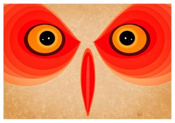 Owl | Obraz na stenu