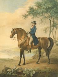 Warren Hastings on his Arabian Horse, 1796 (w/c on paper) | Obraz na stenu