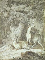 Two Stags (crayon on paper) | Obraz na stenu