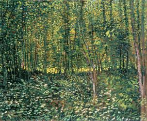 Trees and Undergrowth, 1887 (oil on canvas) | Obraz na stenu