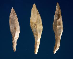 Three arrow heads (flint) | Obraz na stenu