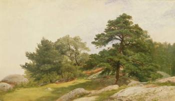 Study for Trees on Beverly Coast (oil on canvas) | Obraz na stenu