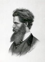 Portrait of Giulio Monteverde (1837-1917) (engraving) | Obraz na stenu