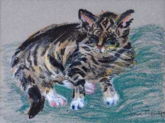 Tabby Cat,2005 (pastel) | Obraz na stenu