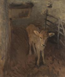 A Jersey Calf, 1893 (oil on canvas) | Obraz na stenu