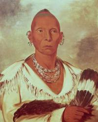 Portrait of Black Hawk, Indian Chief (colour litho) | Obraz na stenu