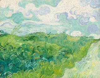 Green Wheat Fields, Auvers, 1890 (oil on canvas) | Obraz na stenu