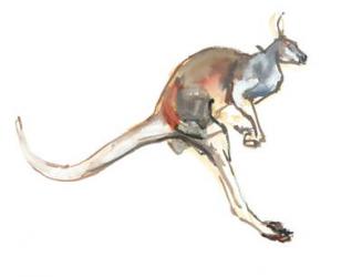 Boing, (Red Kangaroo), 2012, (watercolour and pigment on paper) | Obraz na stenu