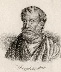 Theophrastus (engraving) | Obraz na stenu