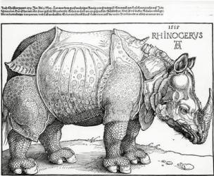 The Rhinoceros, 1515 (woodcut) | Obraz na stenu