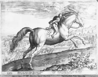 Equus Maurus (engraving) (b/w photo) | Obraz na stenu