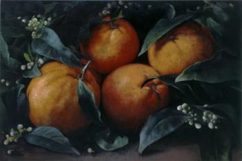 No 399, Oranges, 2013, Oil on canvas | Obraz na stenu